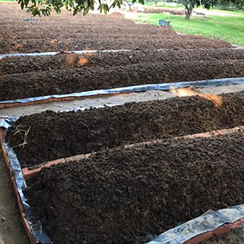 EarthGold Vermicompost